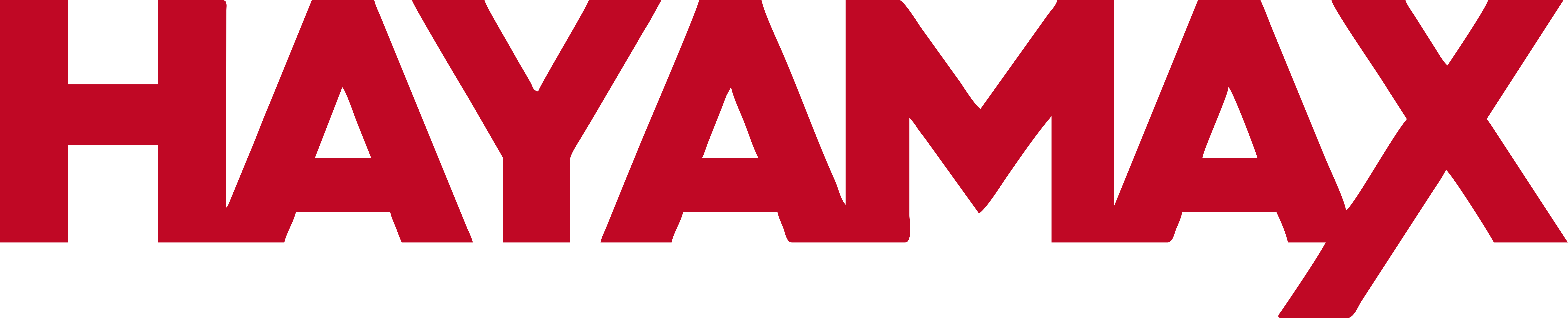 Hayamax